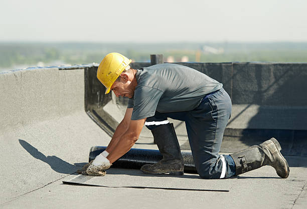 Best Insulation Removal  in Lake Mary, FL